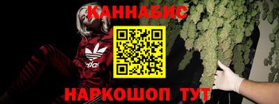 шишки Донской
