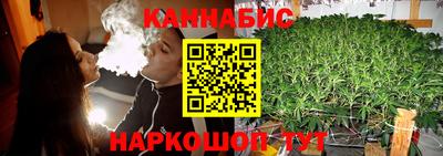 шишки Донской