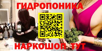 шишки Донской