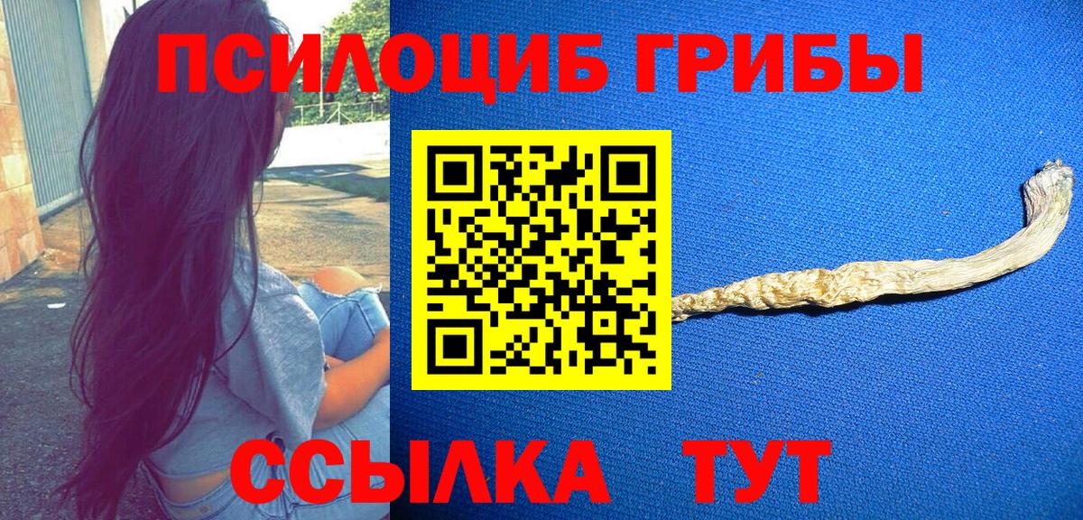 Миасс  Галлюциногенные грибы Psilocybe  Вход с VPN 